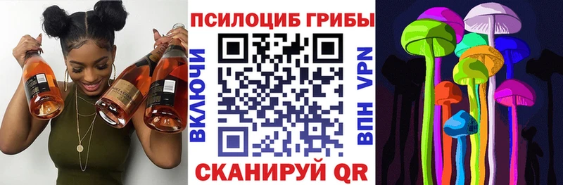Псилоцибиновые грибы Magic Shrooms  darknet телеграм  Топки 