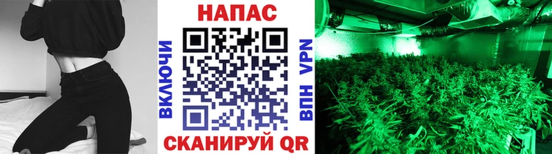 Шишки марихуана тримм  цена наркотик  Топки 